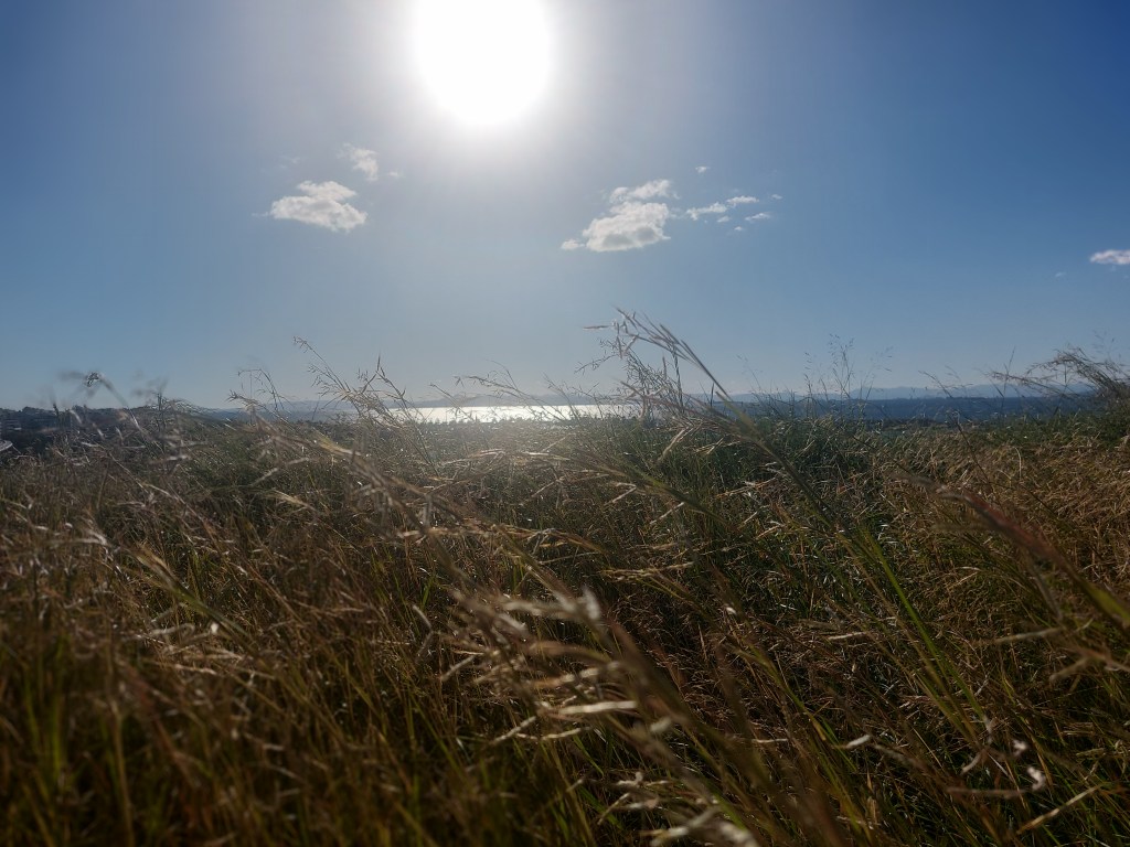 AI Compass: The need for analysts to guide&nbsp;AI